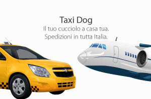 consegne spedizioni cani