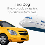 consegne spedizioni cani e cuccioli