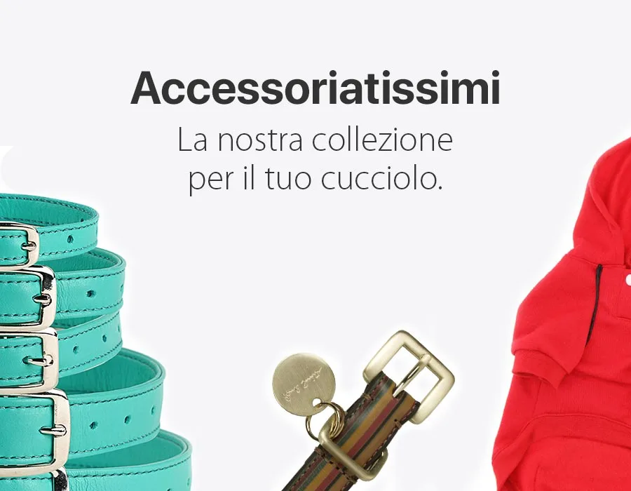 vendita accessori alimenti cani gatti