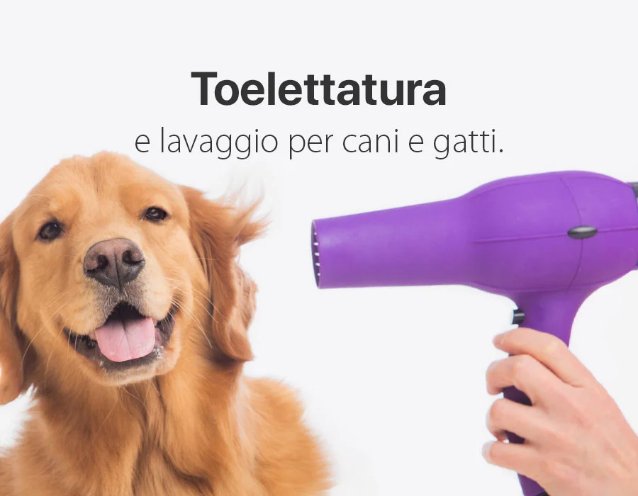 toelettatura lavaggio cani gatti milano
